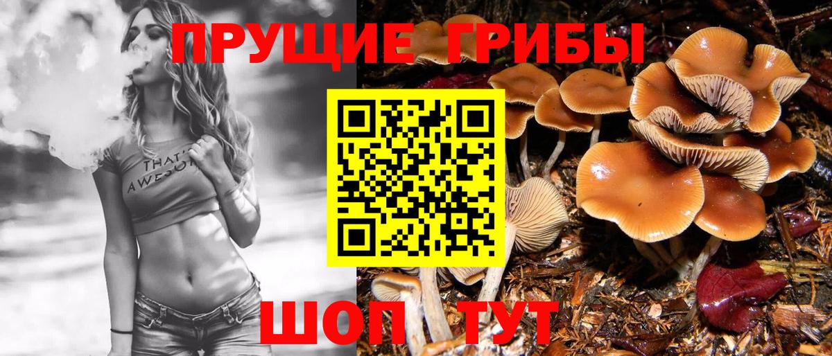 Псилоцибиновые грибы мухоморы  Галлюциногенные грибы прущие грибы  Вход с VPN  Отрадный 