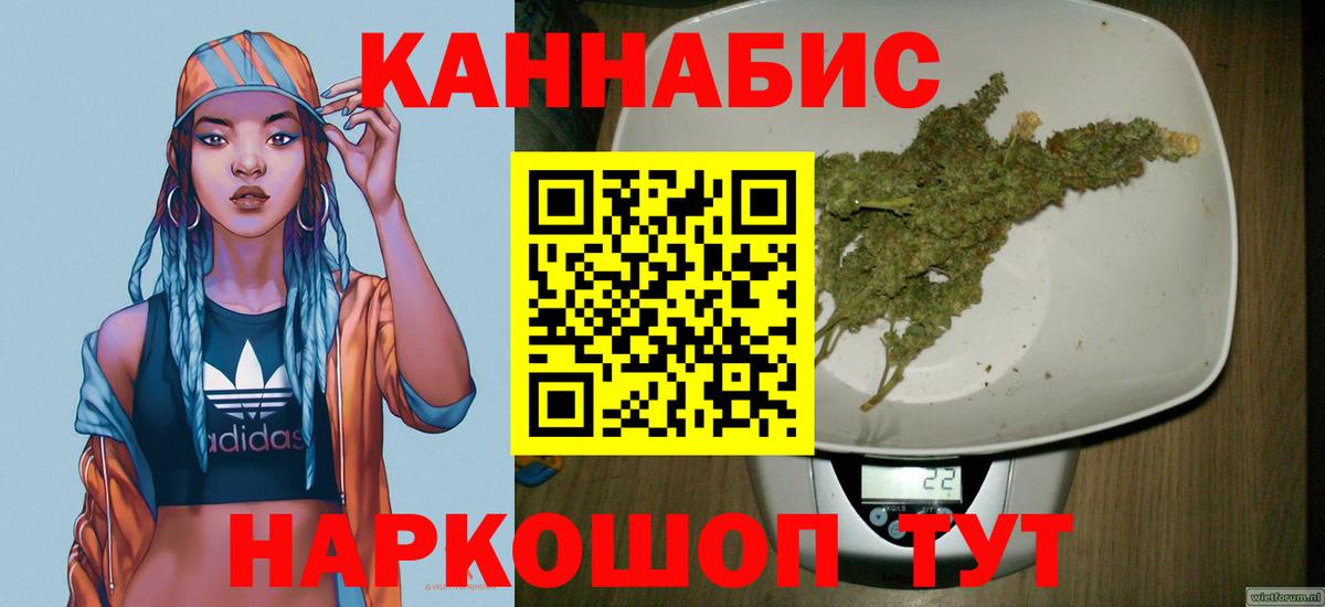 Канабис план  Вход с VPN  Отрадный  Конопля ГИДРОПОН  МАРИХУАНА сатива 