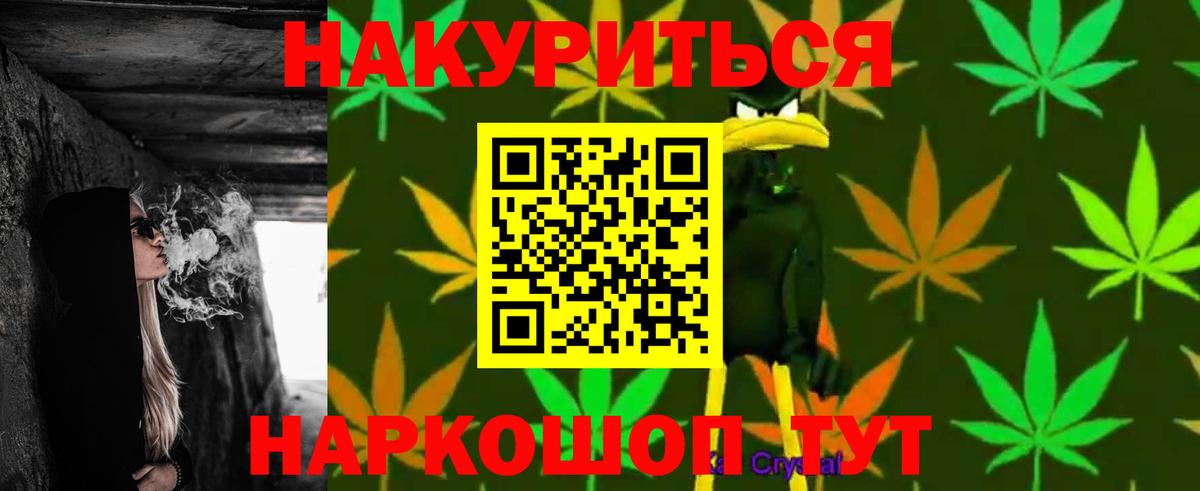 Конопля конопля Отрадный